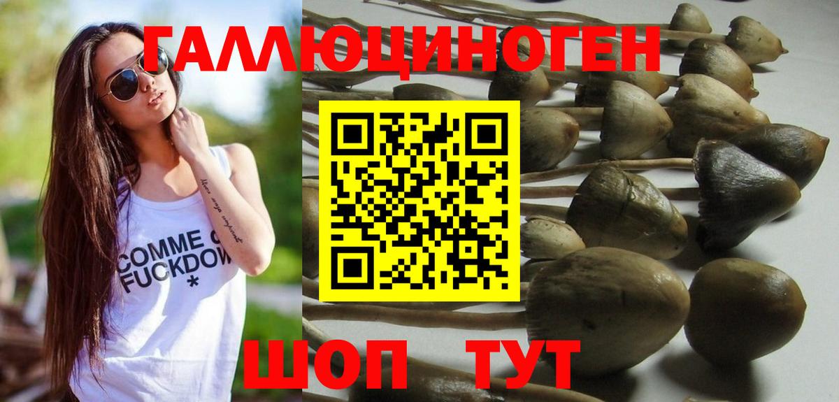 Галлюциногенные грибы прущие грибы  Псилоцибиновые грибы Cubensis  Туапсе  купить   Вход с VPN 